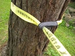 comprar Cinturón de equilibrio de poliéster para deportes al aire libre online manufacture